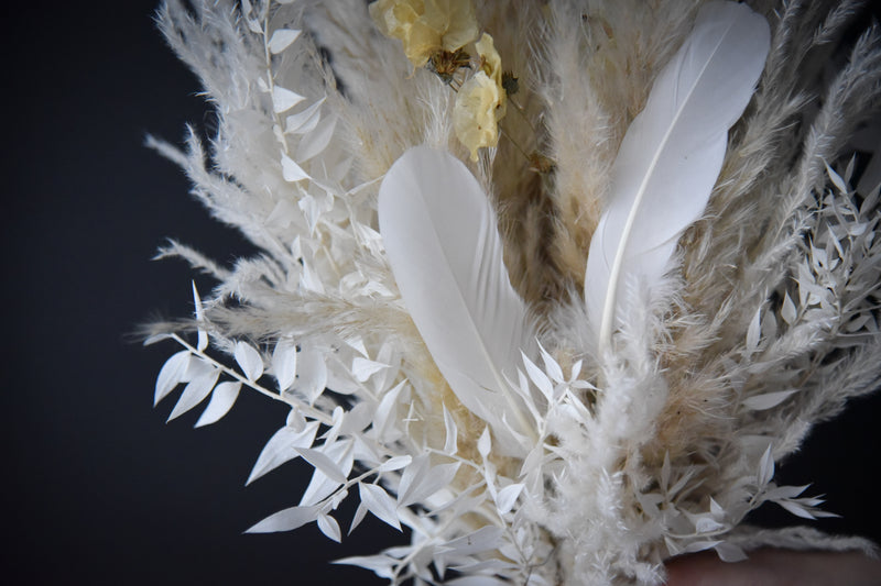 Sailing Feathers