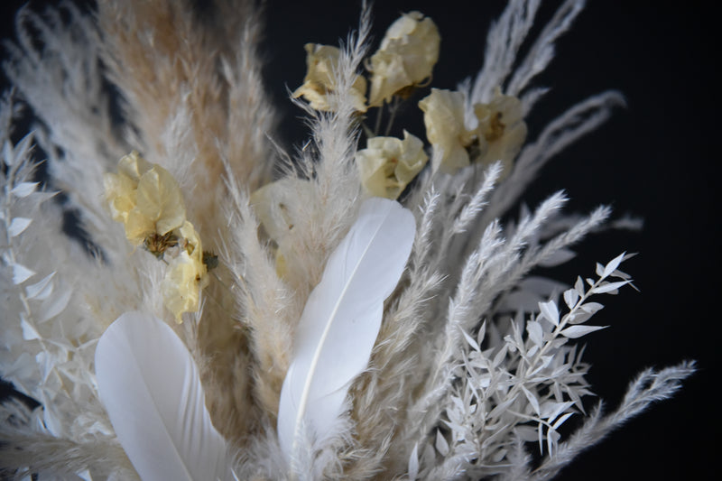 Sailing Feathers