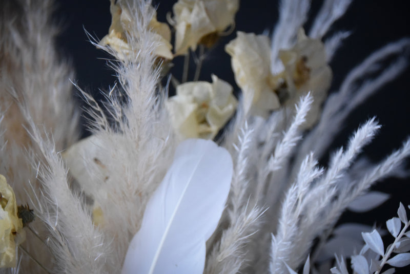 Sailing Feathers