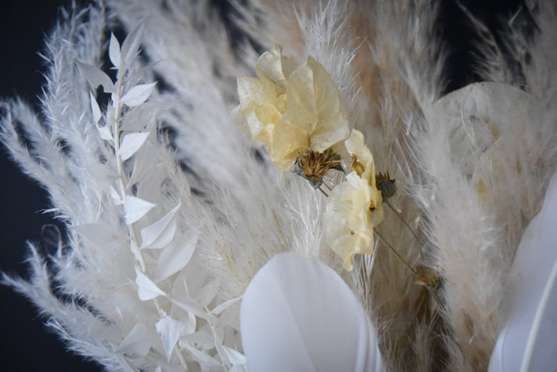 Sailing Feathers